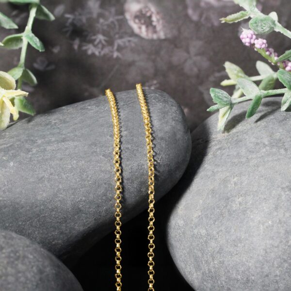 10k Yellow Gold Rolo Chain 1.9mm - Image 7