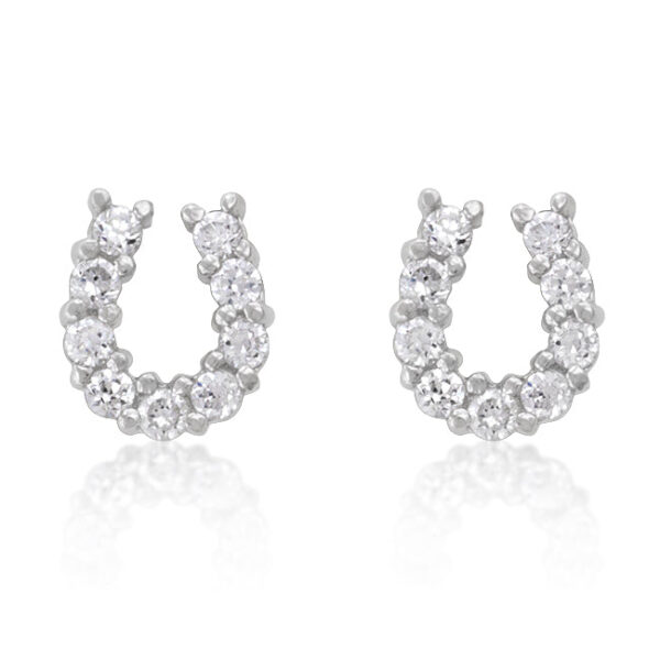 Lucky Horseshoe Earring Set